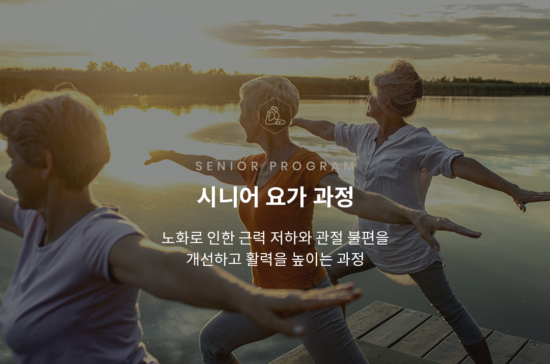 시니어 과정