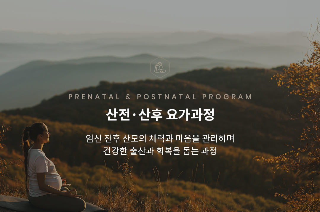 산전·산후 과정